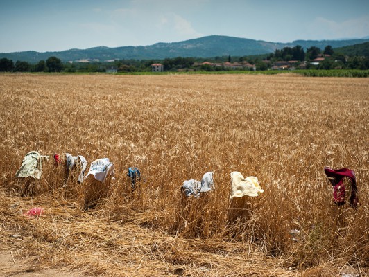 Rrobat e emigrantëve po thahen në diell në fushat pranë kufirit Greqi-Maqedoni | Foto: Tsvetomir Dimov