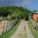 demas hause 1