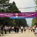800 0 dibra