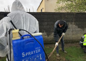 Vatrat e reja të gripit të shpendëve krijojnë alarm edhe në Shkodër
