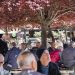Në foto: Kampionati i lojrave të tavolinës në stolat e Tiranës