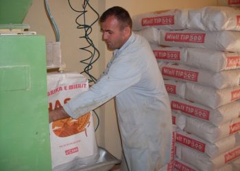 ‘Nëse ata nuk mbjellin, ne nuk bluajmë’: Sfidat e prodhimit të drithërave në Shqipëri