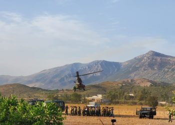Zjarri në Sazan, Peleshi pranon problemet e mirëmbajtjes së helikopterëve “Cougar”