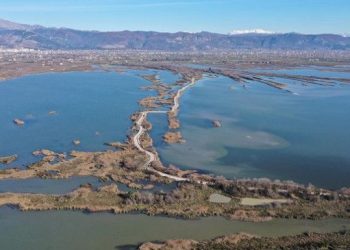 Tjetërsimi i lagunës, arrestohet drejtori i AdZM-së në Lezhë dhe dy vartës