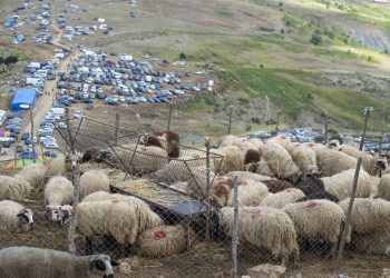 Në foto: Mijëra qytetarë mblidhen për kurban dhe pelegrinazh në malin e Tomorrit