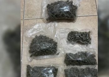Pako postare: Trafikantët e vegjël importojnë kanabis ‘çokollatë’ nga Evropa
