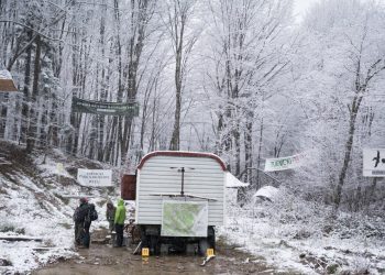 Protestë kundër prerjeve industriale të pyjeve në Karpatet e Polonisë