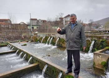 Ndotja e pas viteve ’90 zhduk troftën e egër nga lumi