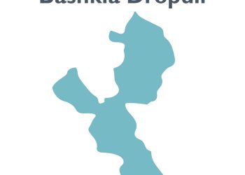 Dropulli, socialistët dominojnë në një elektorat të tkurrur