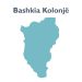 Kolonja, bashki e kontrolluar nga socialistët