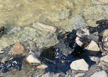 E mbrojtur në letër: Vjosa ndotet nga rrjedhjet e puseve të naftës së Albpetrol