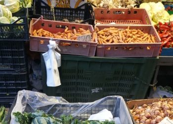 Qeset zëvendësohen me qese, beteja me plastikën mbetet në vendnumëro