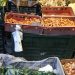 Qeset zëvendësohen me qese, beteja me plastikën mbetet në vendnumëro