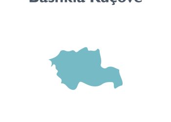 Kuçovë, Lefter Maliqi sfidon socialistët në bastionin e vet