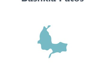 Patos, dy gra sfidojnë kandidatin socialist