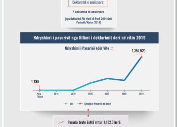 Skeda e pasurisë së deklaruar – Matilda Fetau – Gjykata e Elbasanit
