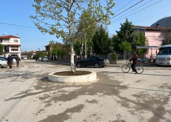 Premtime për zhvillim turizmi në ‘qytetin e vdekur’ të Maliqit