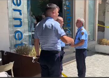 ILD ‘ndjek’ akuzën për vrasje ndaj djalit të anëtares së KLP-së