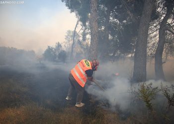 ‘Zonë e mbrojtur’: Si u shkrumbuan 700 hektarë pyje midis Pishë Poros dhe Darëzezës