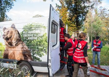 Organizata denoncon mbajtjen në robëri të kafshëve të egra në Shqipëri