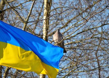 A do të mbijetojë Ukraina?