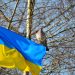 A do të mbijetojë Ukraina?
