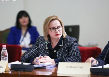 Komisioni i Ligjeve vendos zgjatjen me një vit për Investimet strategjike