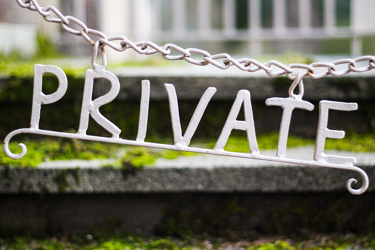 Është koha për një kufi të qartë mes privates dhe publikes
