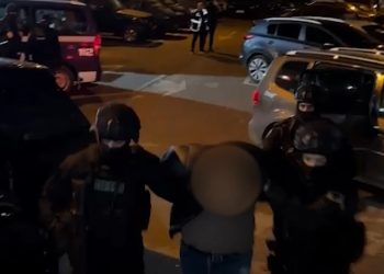 Kokainë në lëkurë gjedhi: SPAK godet rrjetin e trafikimit nga Amerika Latine drejt Shqipërisë