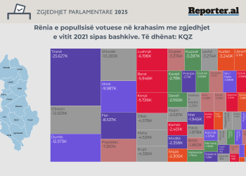 Votuesit që munguan në zgjedhjet parlamentare