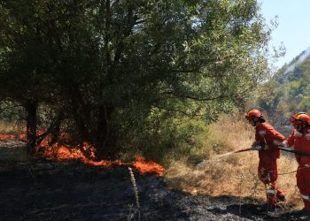 Shqipëria në emergjencë lufton e keqpajisur me flakët