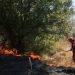 Shqipëria në emergjencë lufton e keqpajisur me flakët