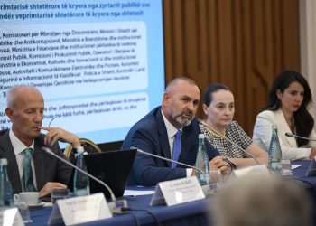 Kodi Penal, Rakipi merr në mbrojtje nenet që rrezikojnë lirinë e shprehjes
