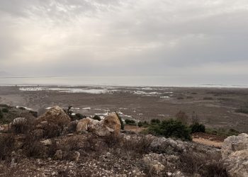 Betonizon natyrën: Organizata mjedisore kundër resortit në Baks-Rrjoll