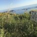 Ndërtuesit synojnë bregdetin e Kallmit në Durrës