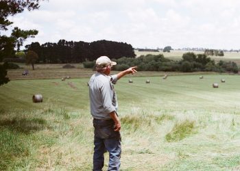 man wearing gray long-sleeved shirt on green grass field
