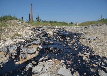Raporti: Krimet mjedisore në Shqipëri mbeten të pandëshkuara