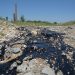 Raporti: Krimet mjedisore në Shqipëri mbeten të pandëshkuara