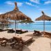 A sandy beach with lounge chairs and straw umbrellas