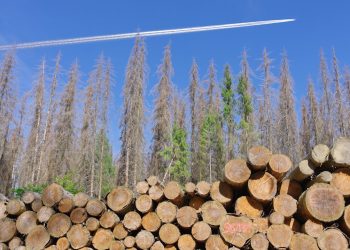 a plane is flying over a pile of logs