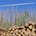 a plane is flying over a pile of logs