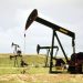a group of oil pumps sitting on top of a field