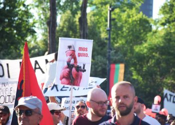 nje meme me simbolin e flamingove ne protesten kunder projektit ne zvernec. foto nensi bogdani