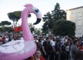 protesta e flamingove