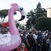 protesta e flamingove