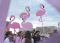 revulucioni i flamingove foto nga nensi bogdani