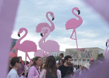 revulucioni i flamingove foto nga nensi bogdani