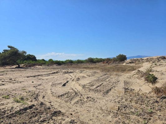 sand dunes