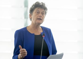 debate meps call for measures against turkey following military operation in syria (48947581143)