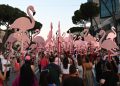 flamingo 1536x1021 1